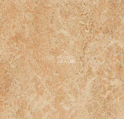 Линолеум Forbo Marmoleum Marbled Real 3075 Shell фото 1 | FLOORDEALER